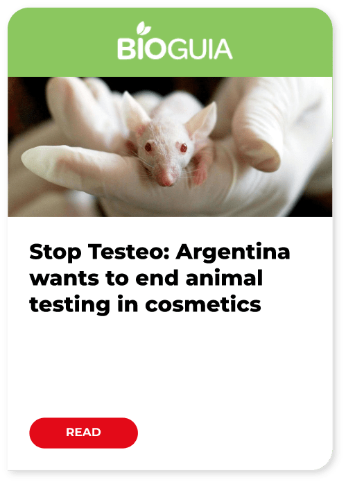 Stop_testeo_ENGLISH